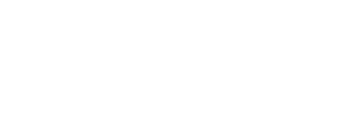Logo-nebo-white